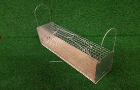 Rattenvangkooi twee deurs